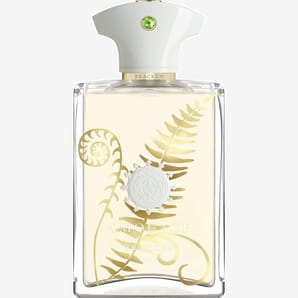 בושם אמואג' AMOUAGE Bracken Man
