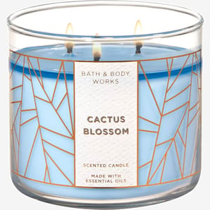 נר ריחני באת' אנד בודי Bath & Body Cactus Blossom candle