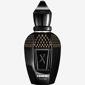 דוגמית סרג'וף Tony Iommi Deified sample