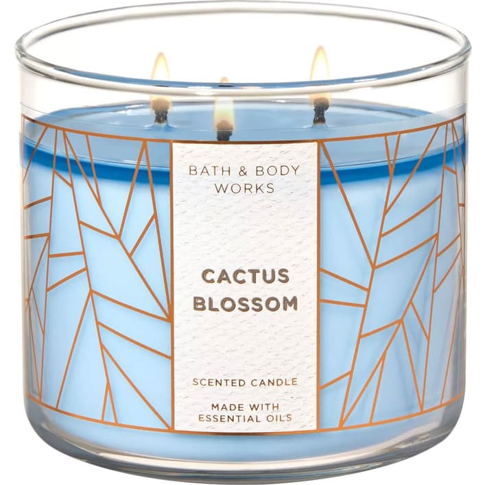 נר ריחני באת' אנד בודי Bath & Body Cactus Blossom candle